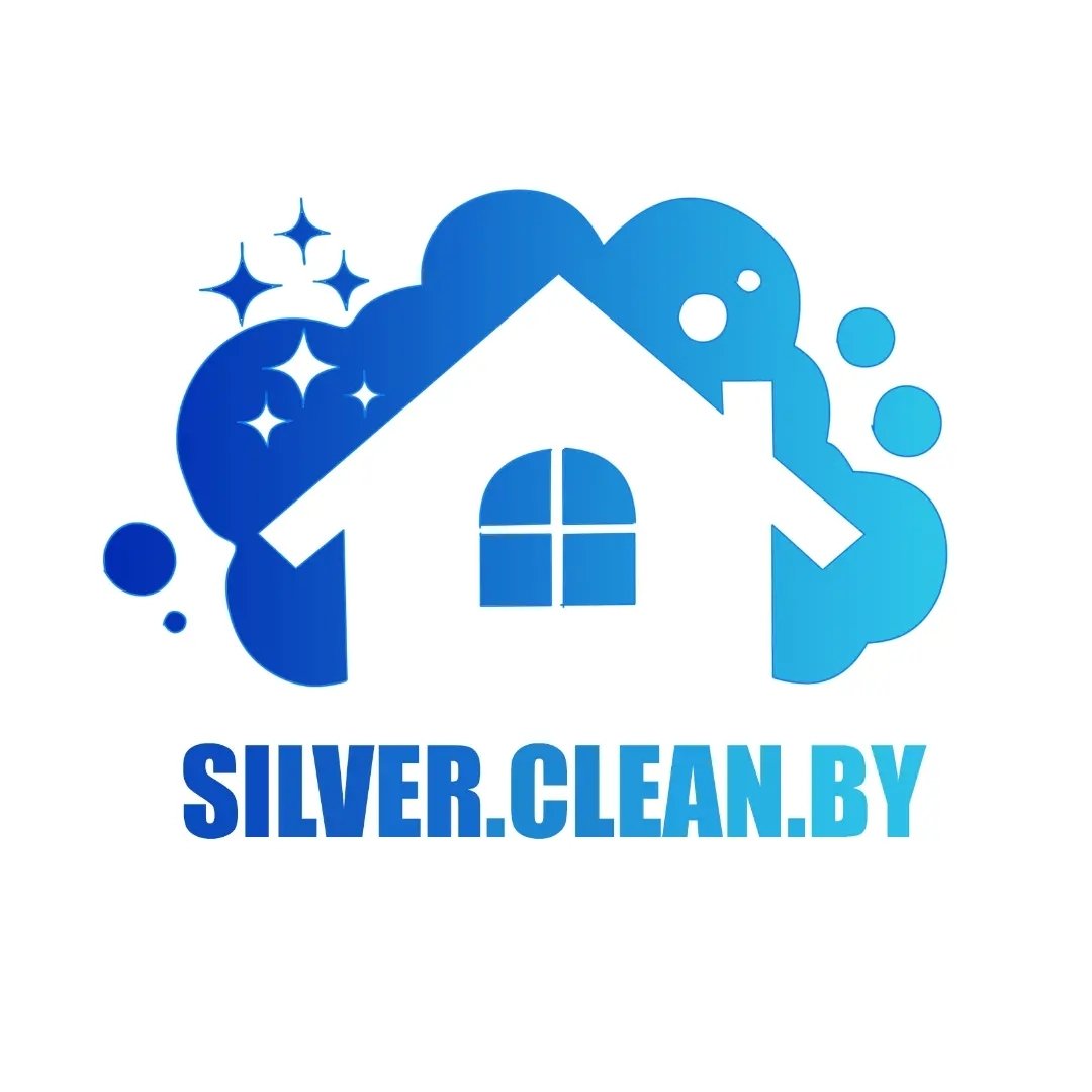 silver.clean.by