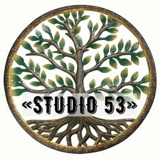 STUDIO53