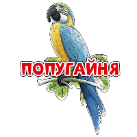 Попугайня